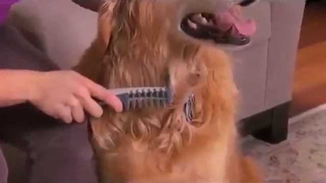 Электрической расческе Knot Out смотреть онлайн