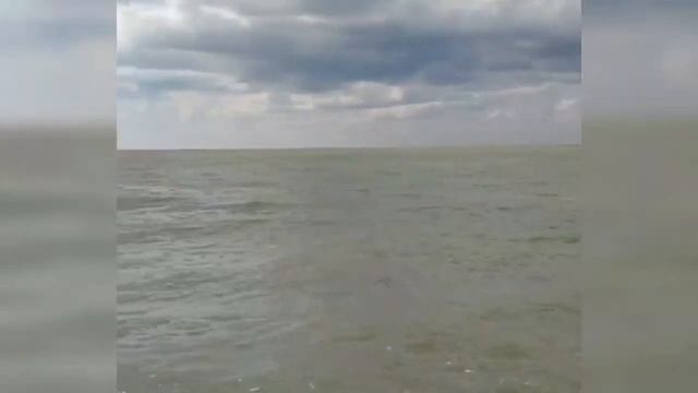 Обзор долгой косы от моей супруги) смотреть онлайн