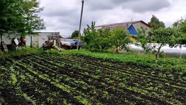 ВЛОГ Дни жизни От чего ушла, к тому и вернусь) смотреть онлайн