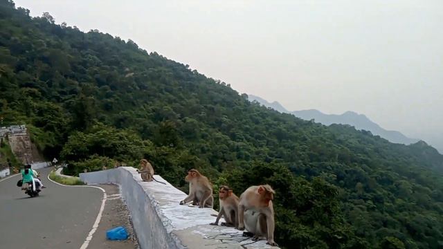 Narrow hair pin band and 🏞️valley view in kolli hills⛰️🌫️❄️ смотреть онлайн