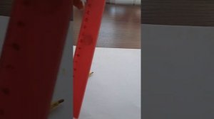 «Вызываем духа балди»??? У нас получилось!!!