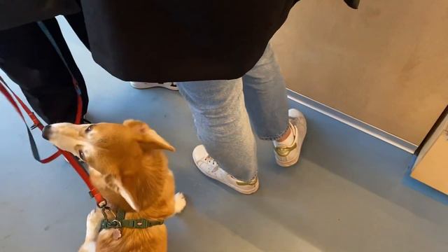 Вечер после работы. 10 тыс шагов. Кофе. Екатеринбург. смотреть онлайн