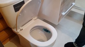 Унитаз Sanita Luxe (Санита Люкс): работа микролифта вызывает вопросы