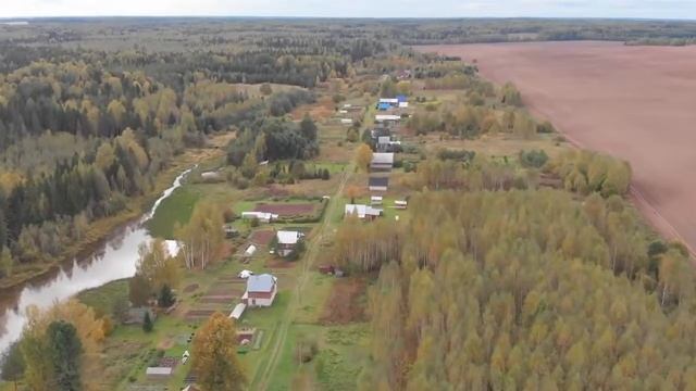 Поиск монет у старой деревни на краю поля ? в поисках золота смотреть онлайн
