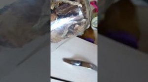 Пищевая моль, крупяная моль, бабочки на кухне, моль, как избавиться от моли.