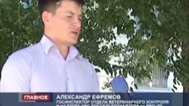 ПРОВЕРКА МЯСОКОМБИНАТА В ЭЛИСТЕ смотреть онлайн