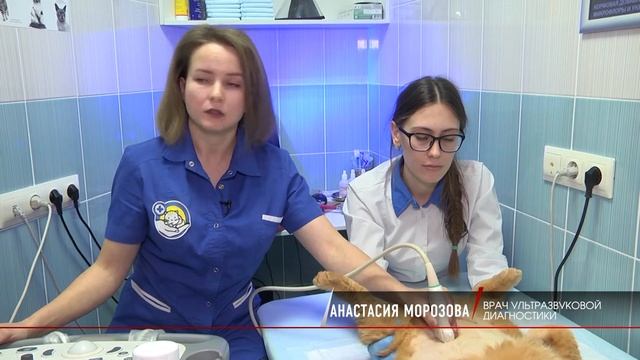 СЮЖЕТ ЧУЛКОВА РАК МОЛОЧНЫХ ЖЕЛЕЗ смотреть онлайн