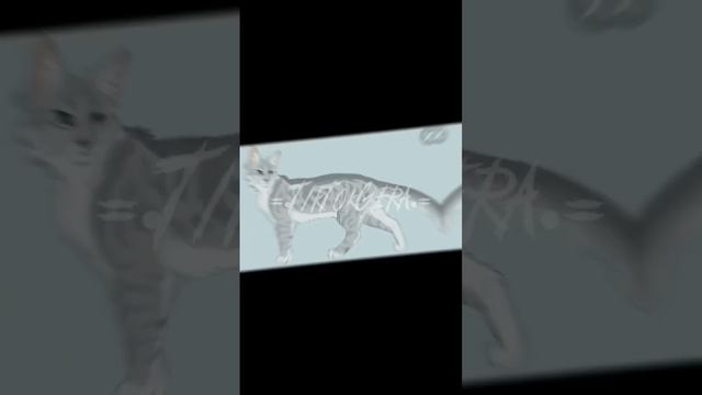 Серебрянка и Гладкоусая #WarriorCats#Котывоители смотреть онлайн