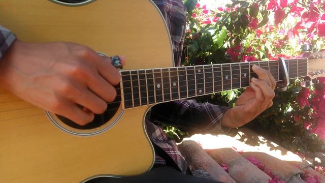 Blue Bird - Naruto Shippuden OP3 - Fingerstyle Guitar Cover - TABS смотреть онлайн