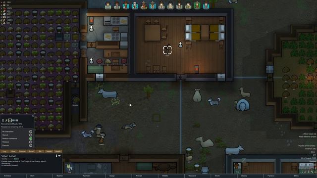 RimWorld Let's Play: Pirate Weapon Delivery Service ~ Friendship's river #70 смотреть онлайн