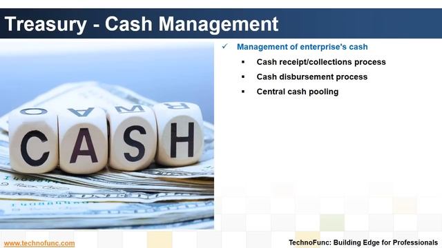 Introduction to Treasury Management Process смотреть онлайн