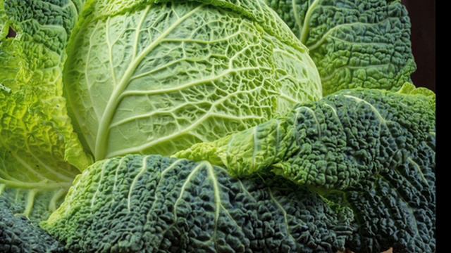 GREEN STUFF WITH GARY NULL смотреть онлайн