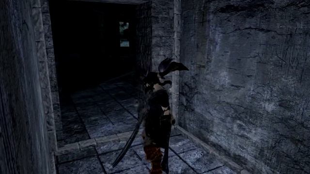 The secret Illusory/wall you always miss or forget about [Dark Souls 2] смотреть онлайн