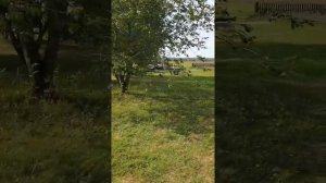 База отдыха «Майор Пронин», Рязанская область