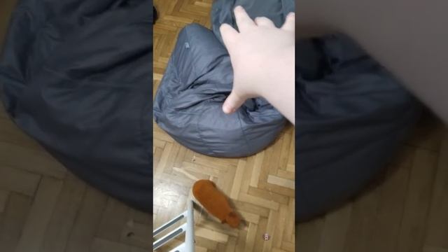 Я изучаю приложения монтажа (хочу снимать крутые видео) смотреть онлайн