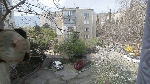 Супер-предложение в Ялте на длительный срок смотреть онлайн