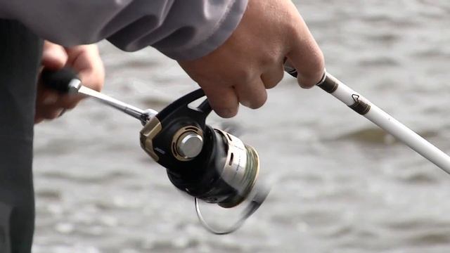 Berkleys Flicker Family Of Crank Baits