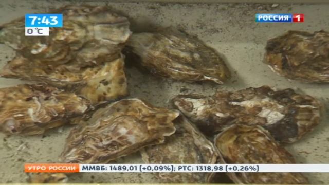 Устрицы попали в список самых опасных продуктов смотреть онлайн