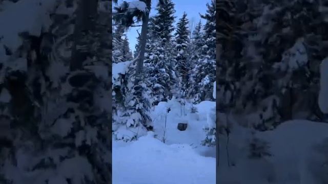 Вы видели такой красивый Боржоми? #Боржоми #Грузия смотреть онлайн