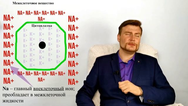 Минеральные соли. Функции минеральных веществ в организме. ЕГЭ биология. смотреть онлайн