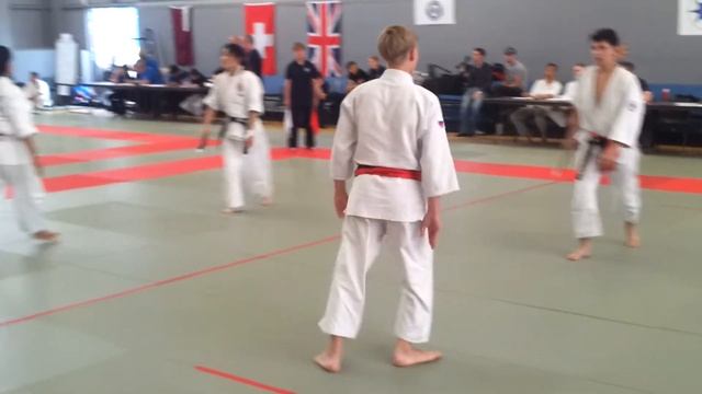 International Aikido Tournament 2011 - Dan Grade Kata 4 Qualifiers