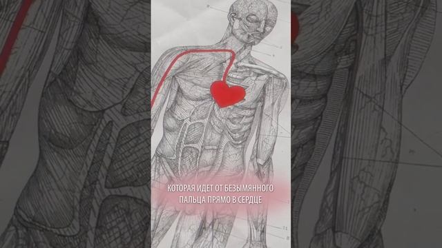 Почему обручальное кольцо носят на безымянном пальце? смотреть онлайн