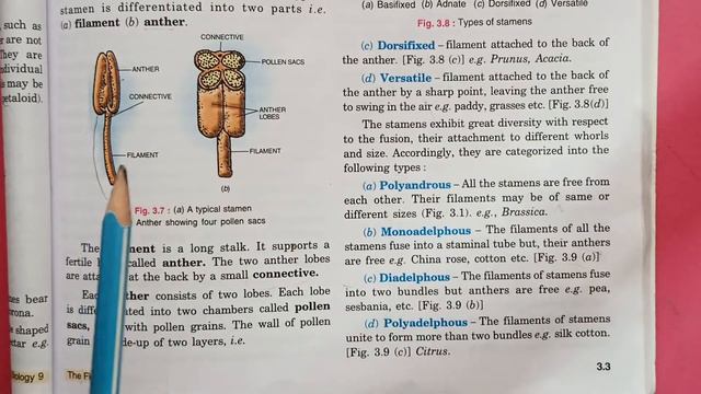9th Grade | Biology | Chapter 3 | AV Assignment 9 | 24th July 2021 смотреть онлайн