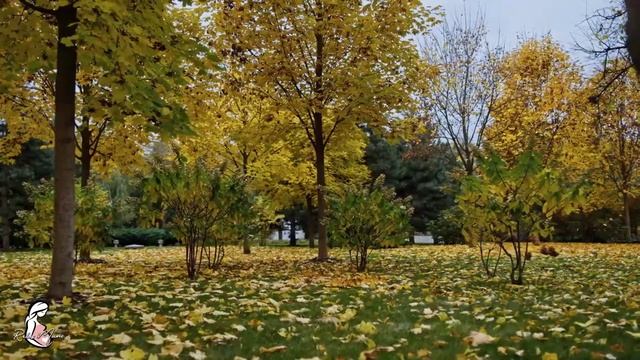 ? Музыка для беременных для плода ♥ Развитие мозга ♥ Умный ребенок в утробе матери смотреть онлайн