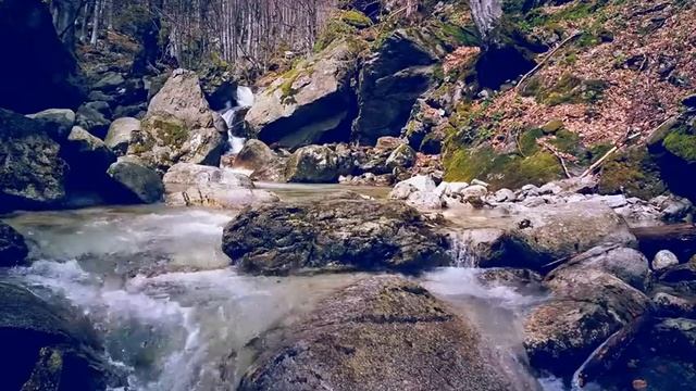 095. 3 ЧАСА СНА ПОД ЗВУКИ РУЧЬЯ | НАНДИ И БАСМАКИ | relax смотреть онлайн