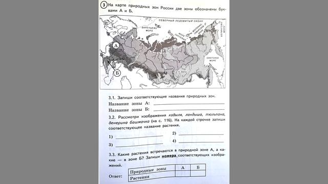 ВПР по окружающему миру. 4 класс. Часть 1. Задания 1-6. смотреть онлайн