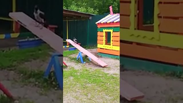 Качели... карусели и ворона!!!