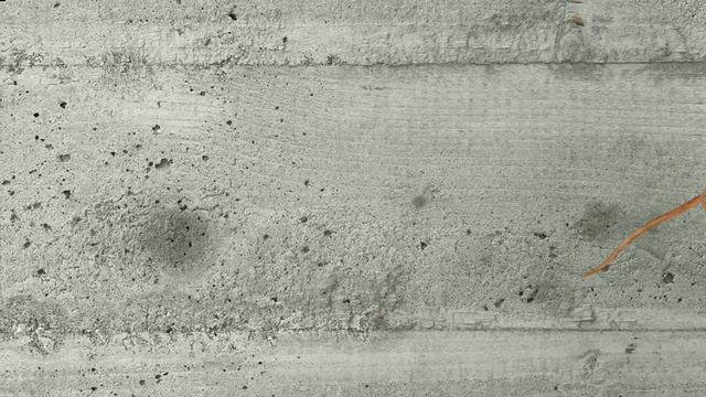 Видео мышка бегает по экрану и пищит игра для котов смотреть онлайн