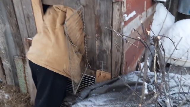 ЖЕНЯ ХОЗЯЙСТВЕННЫЙ МУЖИК!!! ПОСЫЛКА ИЗ ИВАНОВО! НАШ ЛЮБИМЫЙ "ВАСИЛЕК"! смотреть онлайн