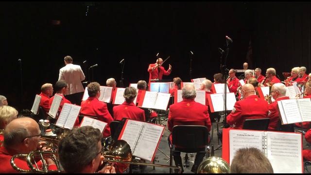 Howard Blake: Walking in the Air - Post Orchestra feat. Stefan Stanciu, pan flute смотреть онлайн