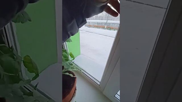 Штапик не держится в пазу, в чем может быть проблема? смотреть онлайн