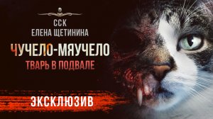 ЧУЧЕЛО-МЯУЧЕЛО | Истории На Ночь | Рассказ | АУДИОКНИГА