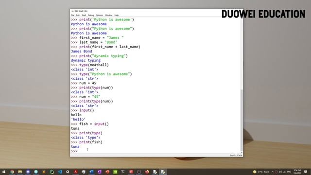 Introduction to Datatypes ( Integer, Float and String ) and Input - Learn Python #3 смотреть онлайн