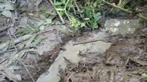 Поиск и обустройство родника до момента когда он потёк через трубу. Полная версия.