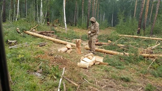 В Тайгу за дровами для бани. смотреть онлайн