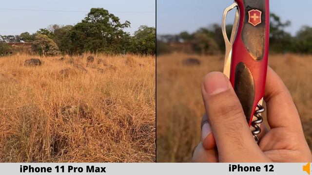 IPhone 12 Vs IPhone 11 Pro Max Camera Comparison