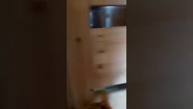 Баня-бочка 5 метров видеообзор смотреть онлайн