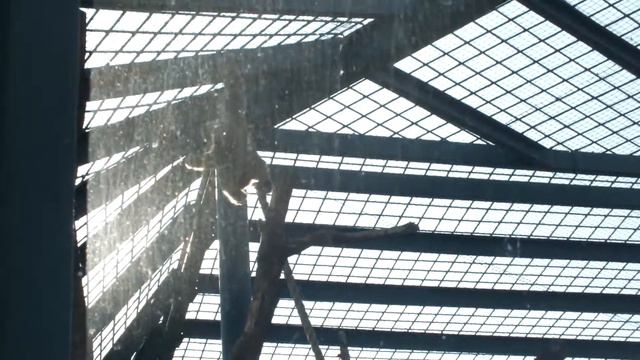 Ижевский Зоопарк, 16 Июля 2013 Года - 011 смотреть онлайн