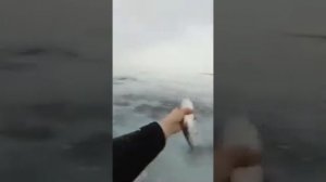 лучшие рыболовные места России 2022