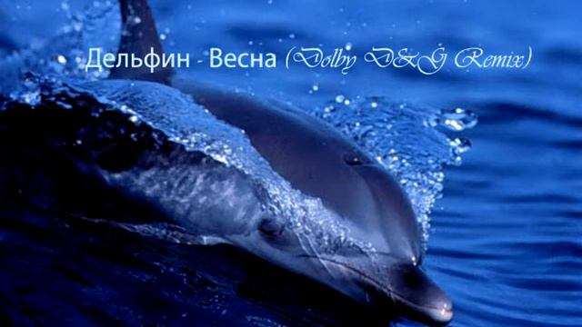 Дельфин Весна Dolby D&G Remix смотреть онлайн