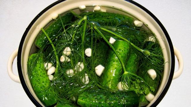 Сборник рецептов