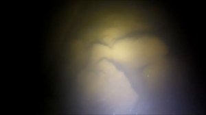 Подводная охота под мостом