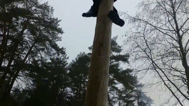 Как залезал зайка и Ко на столб смотреть онлайн