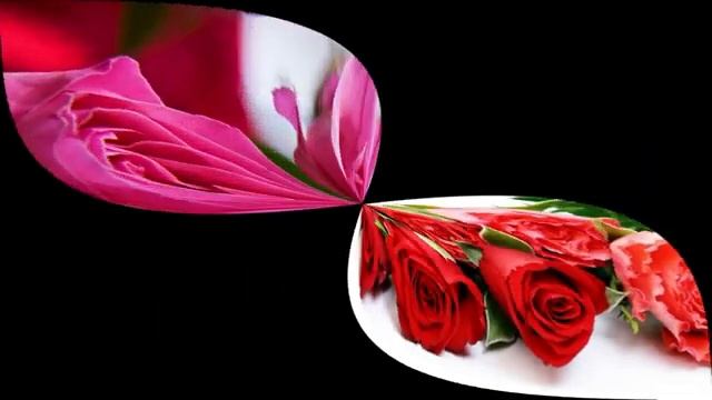 С_ДНЕМ_РОЖДЕНИЯ_МУЗЫКАЛЬНАЯ_ОТКРЫТКА_ПОЗДРАВЛЕНИЕ.mp4 смотреть онлайн