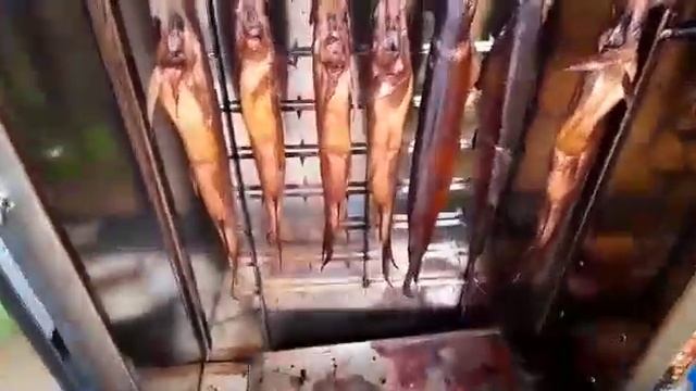 !Коптильня Москит вся правда!!! В квартире же... смотреть онлайн