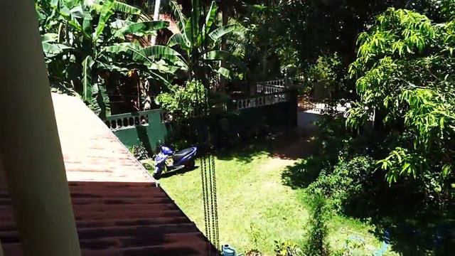 Отдых на Цейлоне цены смотреть онлайн